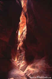 Slot Canyon - Zion National Park
