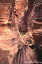 Slot Canyon - Zion National Park