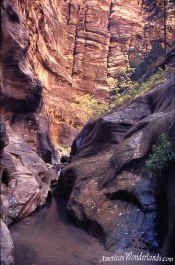 Orderville Canyon - Zion National Park