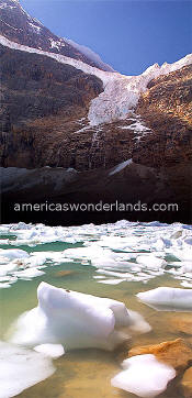 angel glacier jasper national park