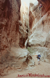 lamatium canyon arches national park slot canyon