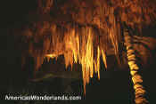 carlsbad caverns picture