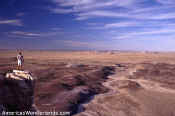 painted desert pictures