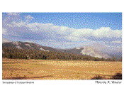 Yosemite National Park - Tuolumne Meadows