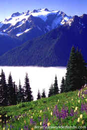 mt olympus olympic national park