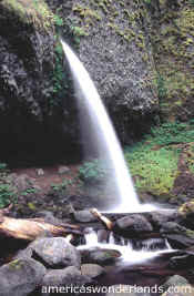 ponytail waterfall oregon